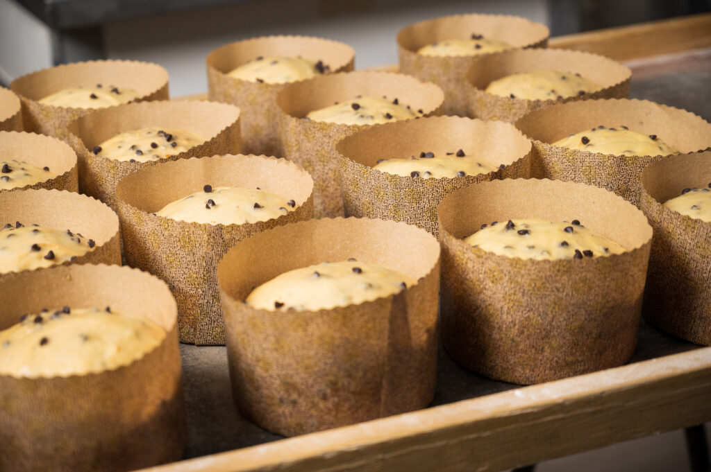 Recyclable Muffin Cups That Reduce Waste Without Compromising Quality italian panettone bread, christmas festive dessert. close up